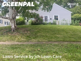 Lawn mowed in Rochester, 14620