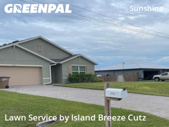 Grass Cut nearby Lehigh Acres, FL, 