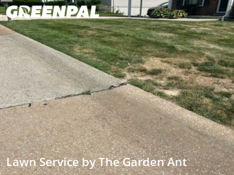 Yard Cutting nearby Manchester, MO, 