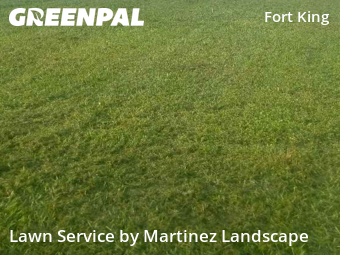 Landscaping Maintenance in Ocala, 34471, Yard Cutting by Martinez Landscape, work completed in Oct , 2025