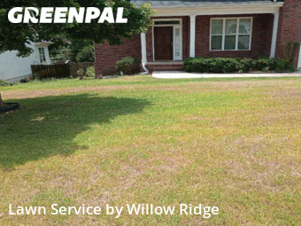 Grass Cut nearby Evans, GA, 