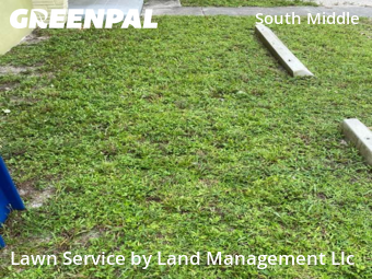 Lawn Cutting nearby Fort Lauderdale, FL, 