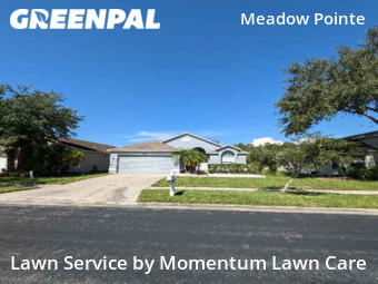Yard Mowing nearby Wesley Chapel, FL, 