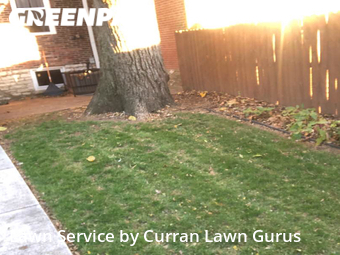 Lawn Cut nearby St. Louis, IL, 