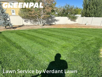 Lawn Cut nearby Loveland, CO, 