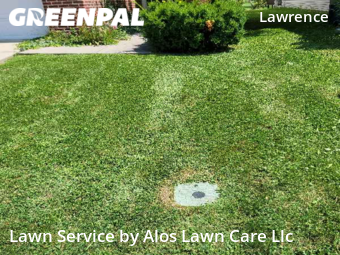 Yard Cutting nearby Indianapolis, IN, 