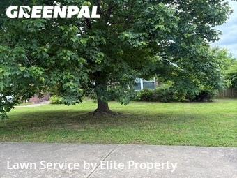 Lawn mowed in Springdale, 72762