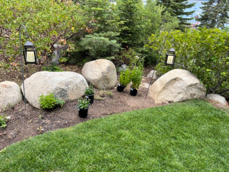 The Nice Yard Lawn Care Services in Reno, NV