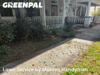 Yard Care in Camden, 19934, Lawn Maintenance by Moores Handyman, work completed in Nov , 2025