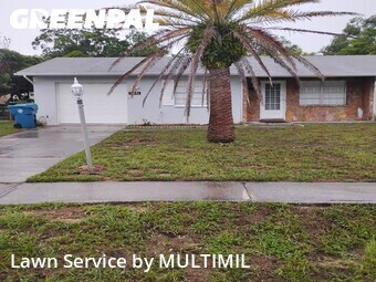 Lawn mowed in Spring Hill, 34609