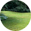 residential-lawn-cutting-businesses-in-Marysville-WA