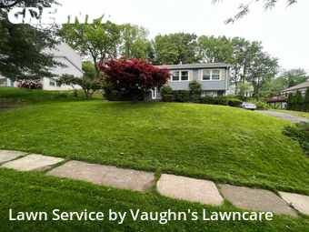 Grass Cut nearby Wayne, NJ, 