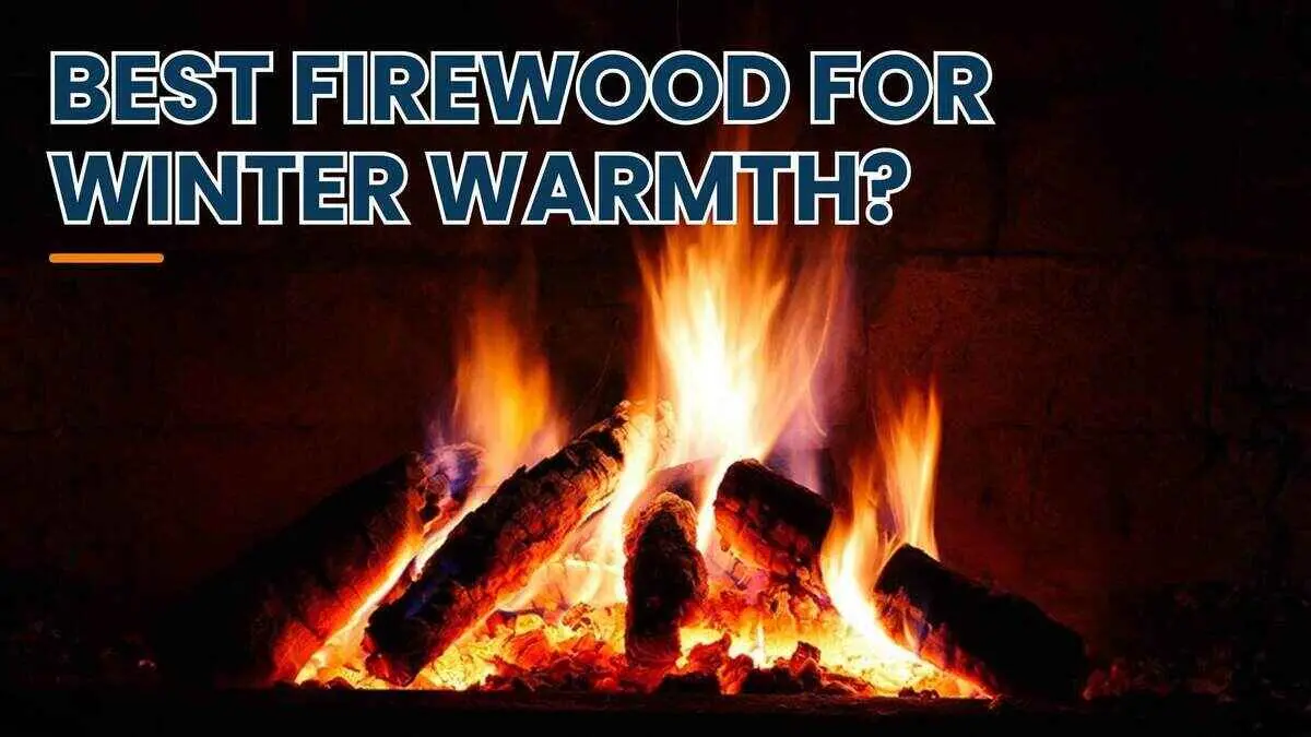 What is the best firewood to keep you warm this winter?