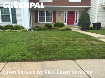 Lawn mowed in Olney, 20832