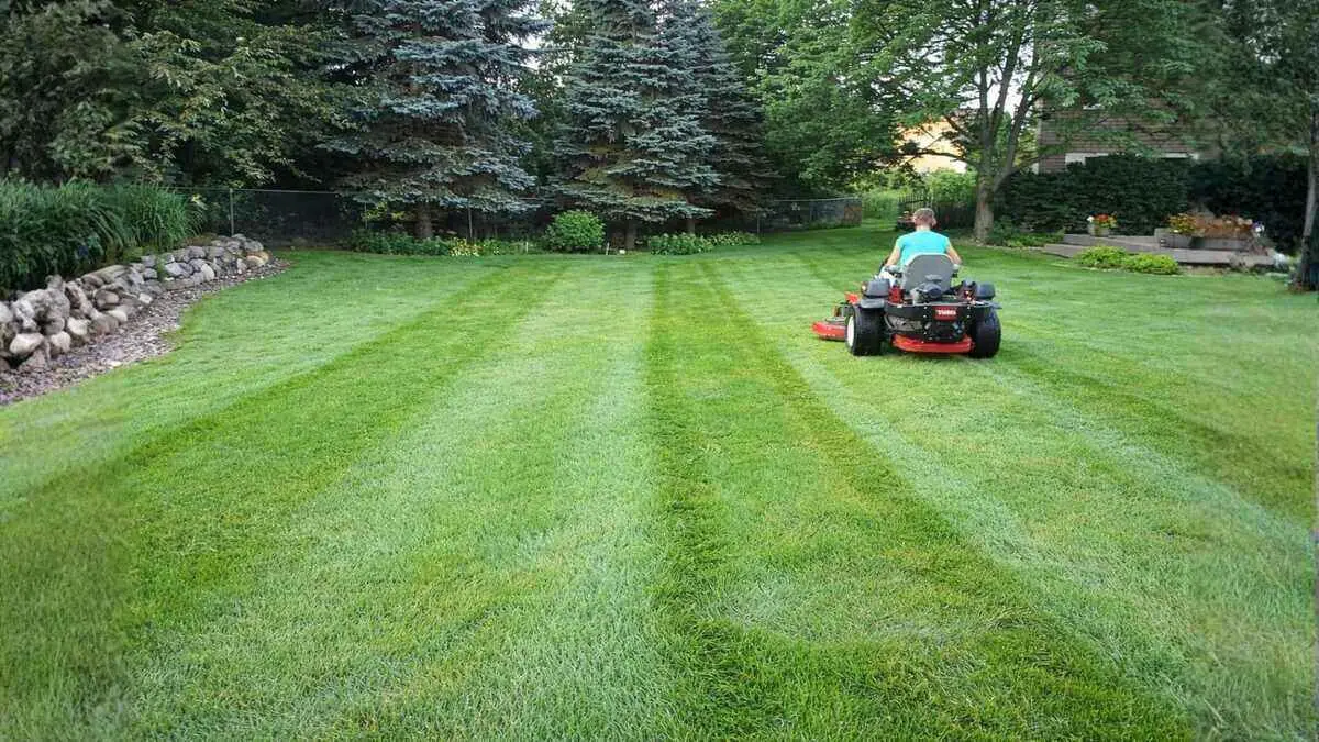 I work long hours and need someone to handle my lawn. What are my options? By Greenpal