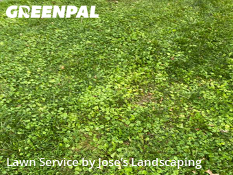 Lawn Mow nearby Ashburn, VA, 