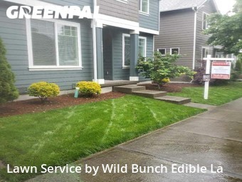 Yard Mowing nearby Lacey, WA, 