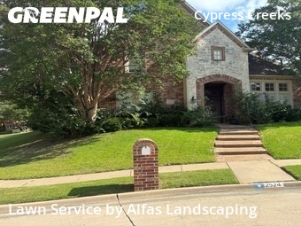 Yard Mowingin Plano,75093,Lawn Mowing Service by Alfas Landscaping, work completed in Jun , 2026