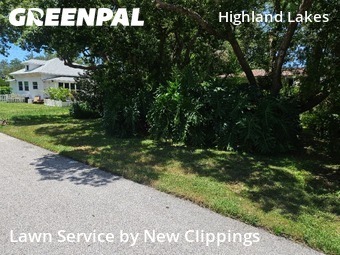 Yard Cutting nearby Clearwater, FL, 