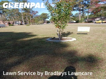 Lawn Mowing Service nearby Greenville, NC, 