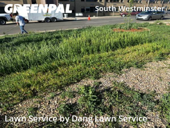 Lawn Cutting nearby Westminster, CO, 
