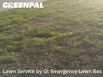 Lawn Cut nearby Argyle, TX, 
