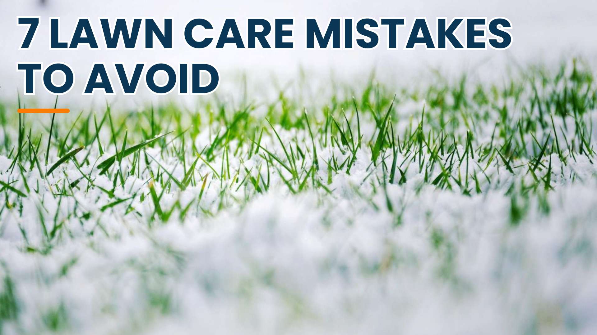 7 Fall/Winter Lawn Care Mistakes to Avoid
