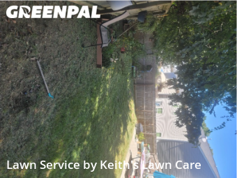 Lawn Care nearby Charlotte, NC, 