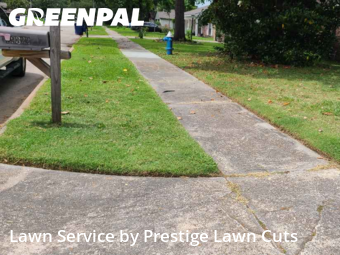 Lawn Service nearby Spring, TX, 
