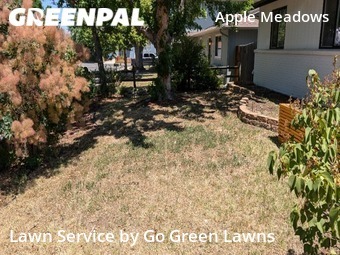 Lawn Mow nearby Golden, CO, 