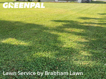 Yard Cutting nearby Gonzales, LA, 