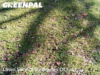 Lawn Care nearby Atlanta, GA, 