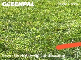 Lawn Servicein Charlotte,28278,Lawn Cut by Gp Landscaping, work completed in Jun , 2026