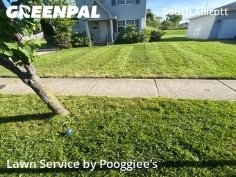 Residential Landscaping In Buffalo,14210,Landscaping Cleanup by Pooggiee’s, work completed in Jun , 2026