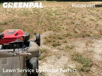 Lawn Cut nearby Fresno, CA, 