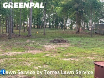 Lawn Maintenance nearby Cleveland, TX, 