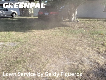 Lawn Maintenance nearby Seminole, FL, 