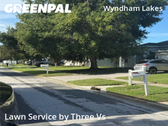 Backyard Mowing in Odessa, 33556, Grass Cutting by Three Vs , work completed in Oct , 2025