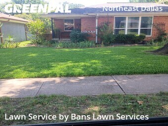 Grass Cut nearby Dallas, TX, 