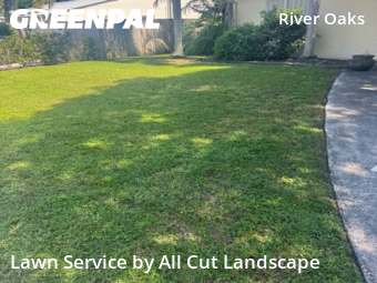 Grass Cut nearby Fort Lauderdale, FL, 