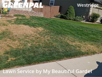 Yard Mowing nearby Littleton, CO, 