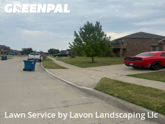 Grass Cut nearby Nevada, TX, 