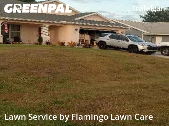 Grass Care in Cape Coral, 33991, Mowing Services by Flamingo Lawn Care, work completed in Dec , 2025