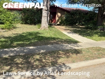 Landscaping Renovation In Carrollton,75007,Landscaping Services by Alfas Landscaping, work completed in Jul , 2026