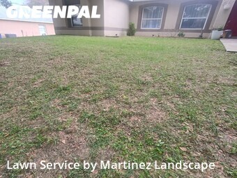 Lawn Cutting nearby Minneola, FL, 