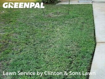 Lawn Service nearby San Antonio, TX, 