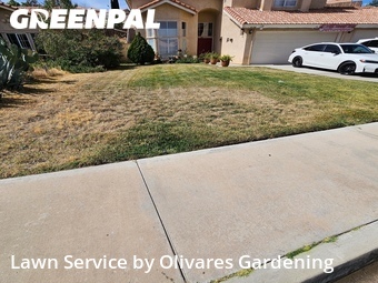 Lawn Mowing Service nearby Palmdale, CA, 