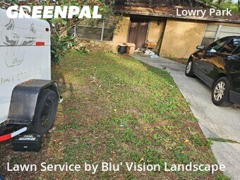 Lawn Care nearby Tampa, FL, 