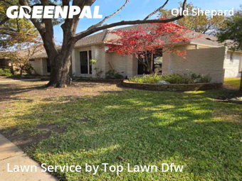 Lawn Mow nearby Plano, TX, 