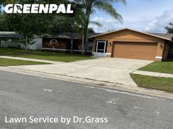 Grass Cut nearby Lutz, FL, 